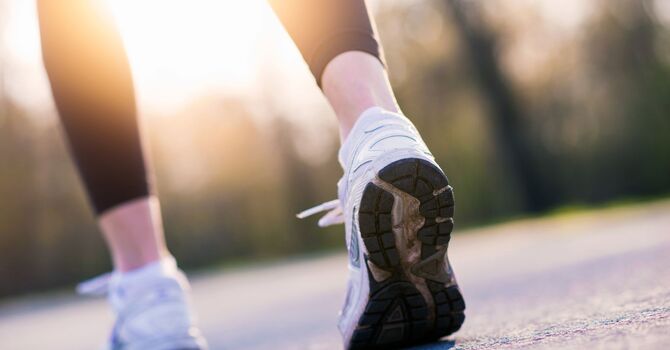 Elevate Your Health Journey